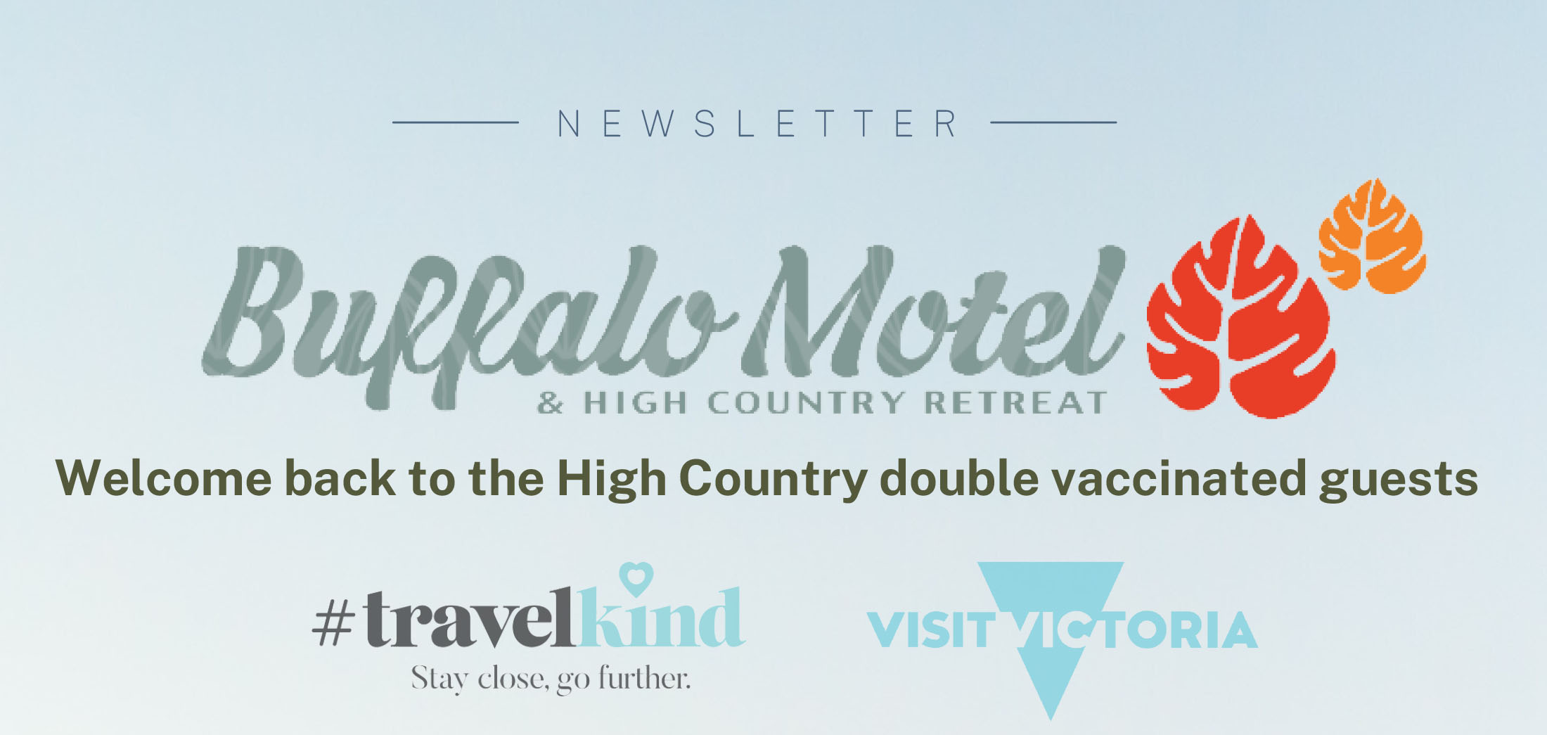 newsletter-header