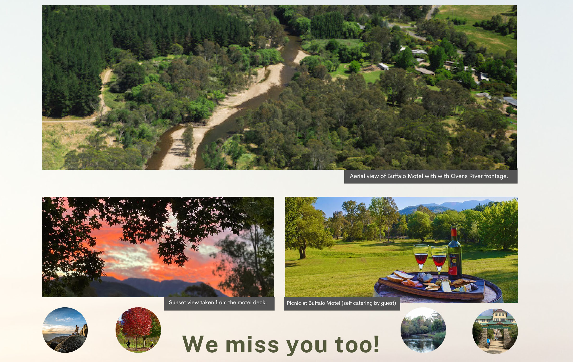 newsletter-header2